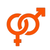 17-e1711557378655.webp
